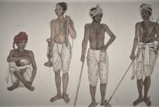 Homme Raaja : le Longhi, la Dhoti, le Veshti.