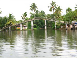 Kerala (560) - Copie