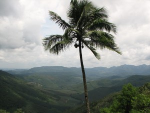 Kerala (615) - Copie