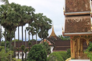 laos (342)