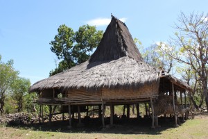 Sumba1 (109) - Copie  