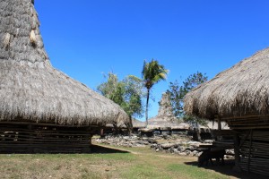 Sumba1 (123)  