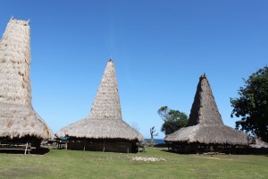 Sumba1 (173) - Copie 