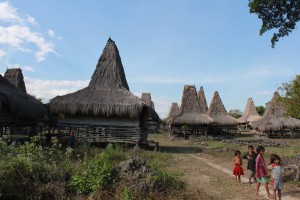 Sumba1 (234) - Copie 