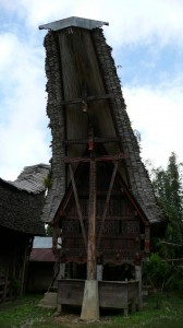 TORAJA (117)