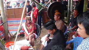 TORAJA (177)