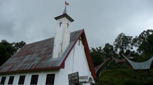 TORAJA (302)  