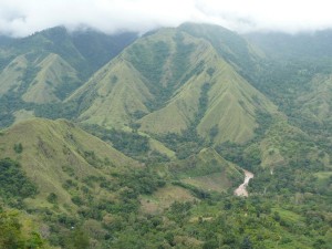 TORAJA (62)