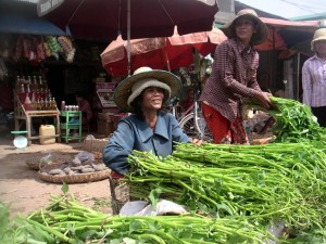 cambodge (284)