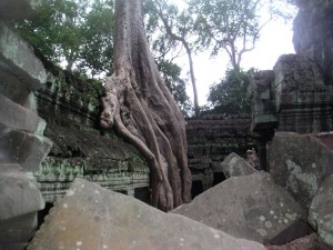 cambodge (427)