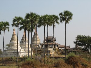 Myanmar (123)