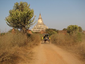 Myanmar (124)