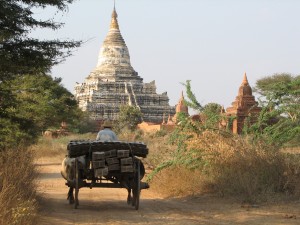 Myanmar (126)