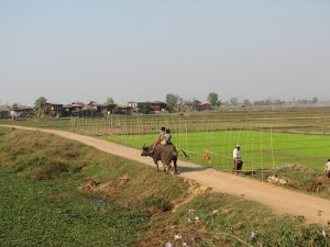 Myanmar (138)