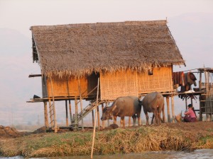 Myanmar (188)