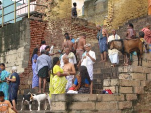 benares (79)