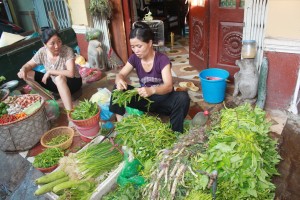 HA NOI (264)